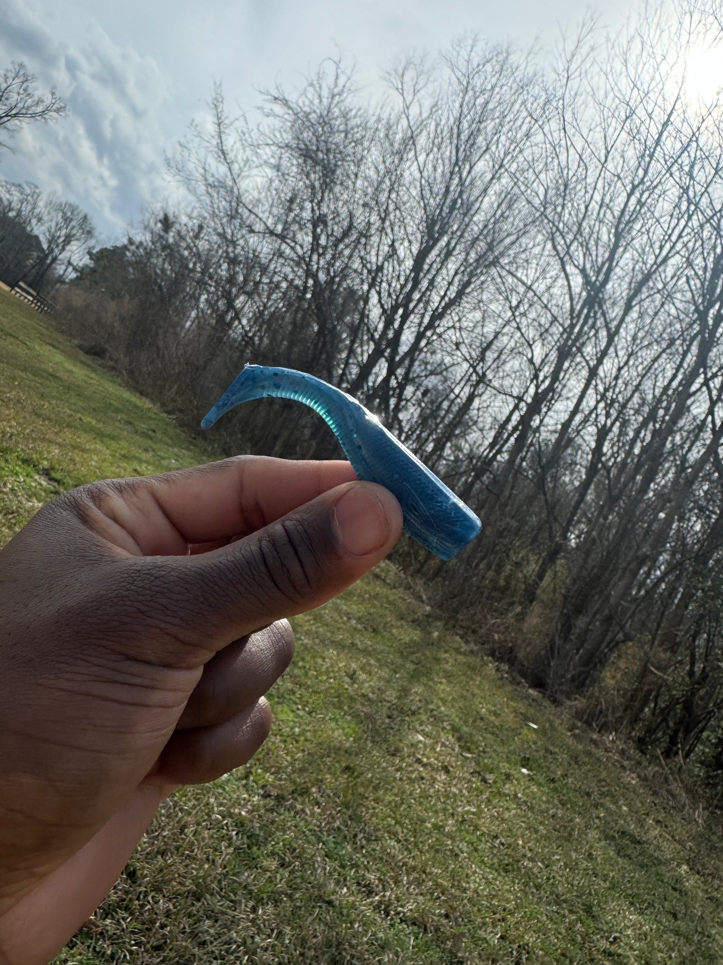 3" Swim Bait