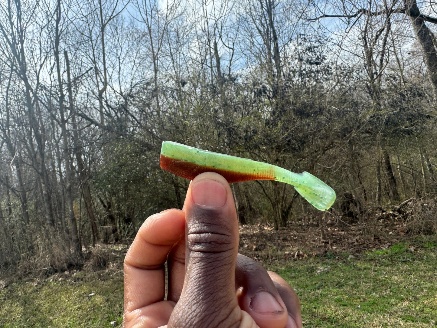 3" Swim Bait