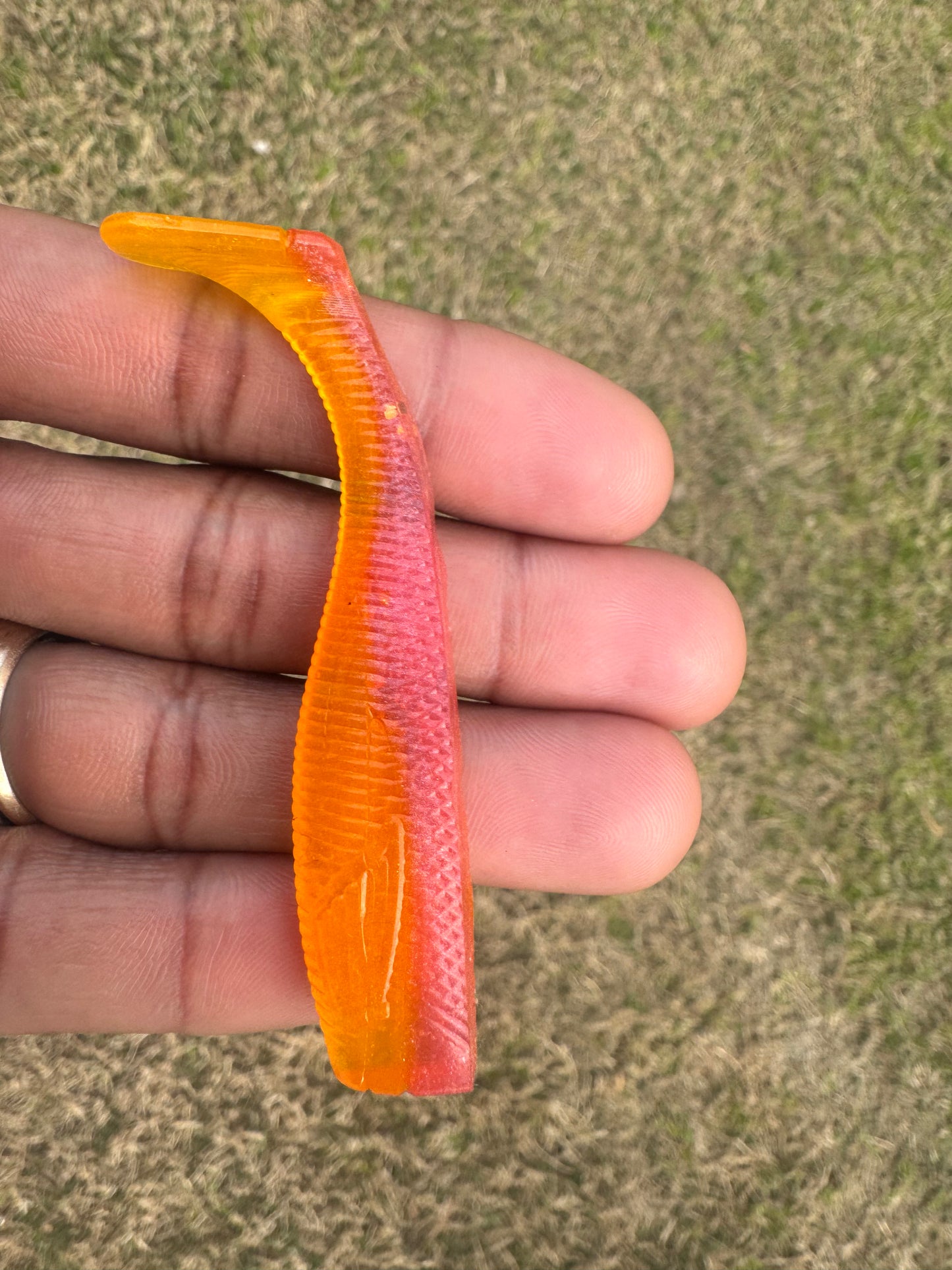 3" Swim Bait