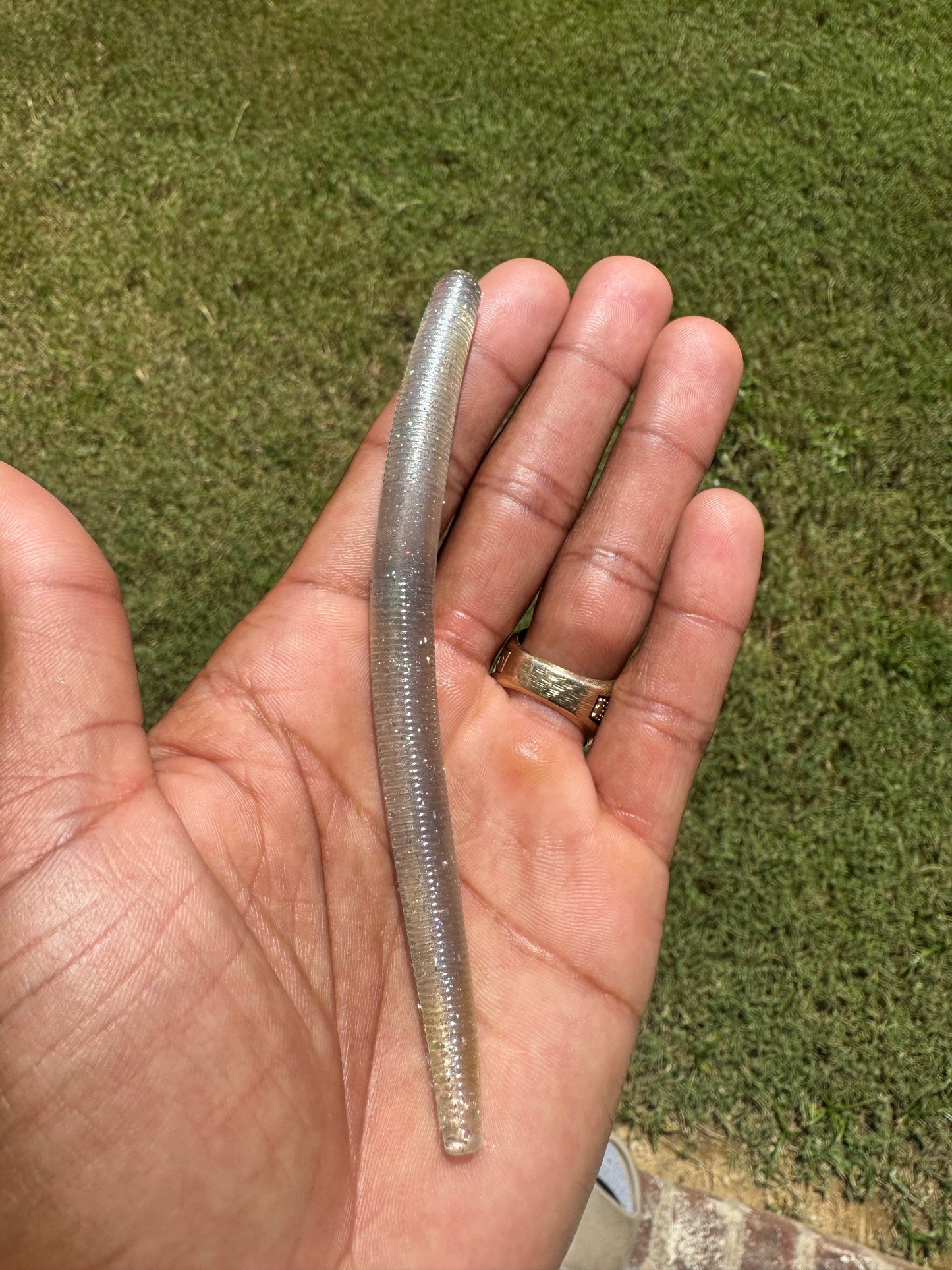 5” Classic Worm