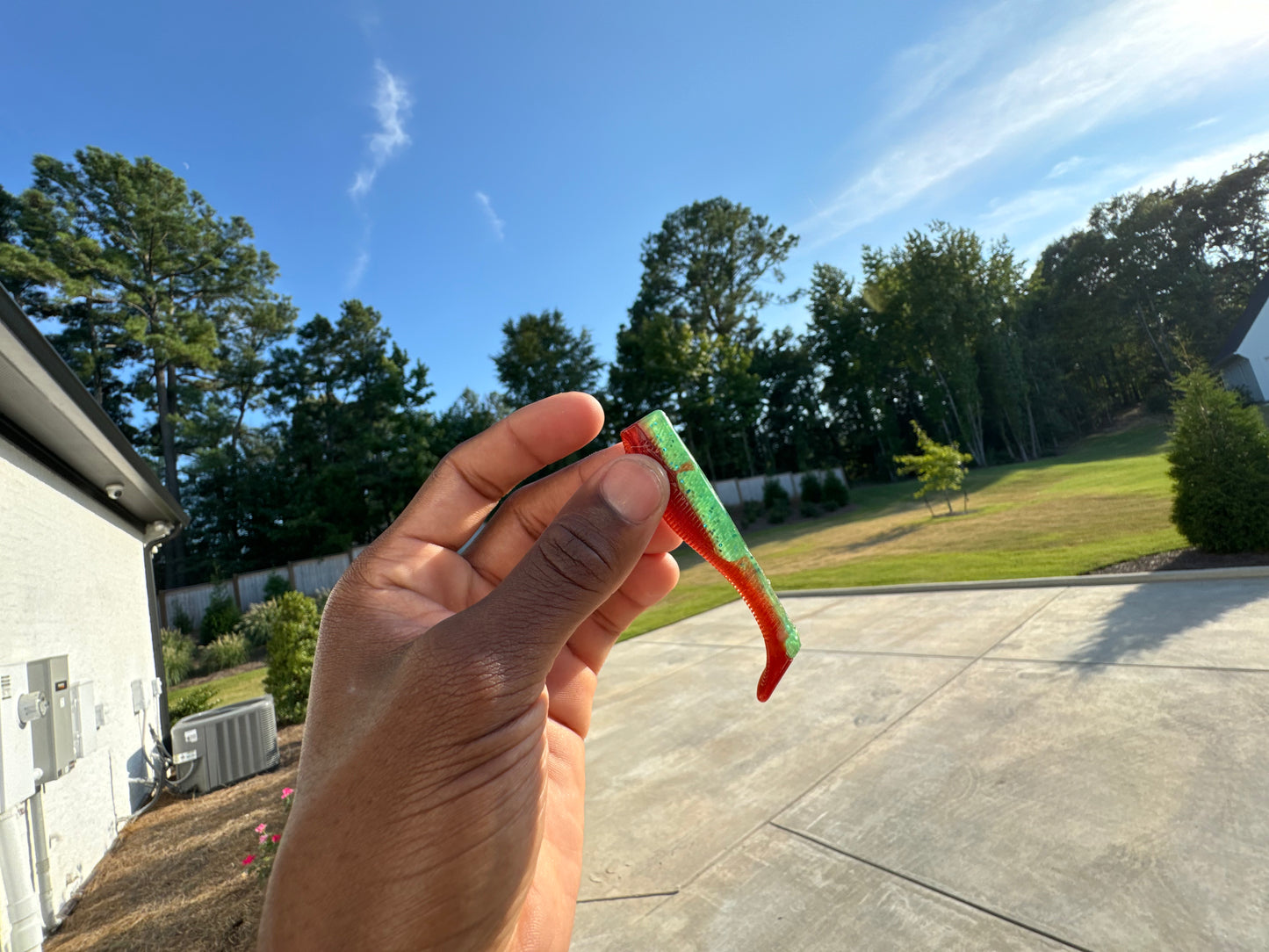 3" Swim Bait