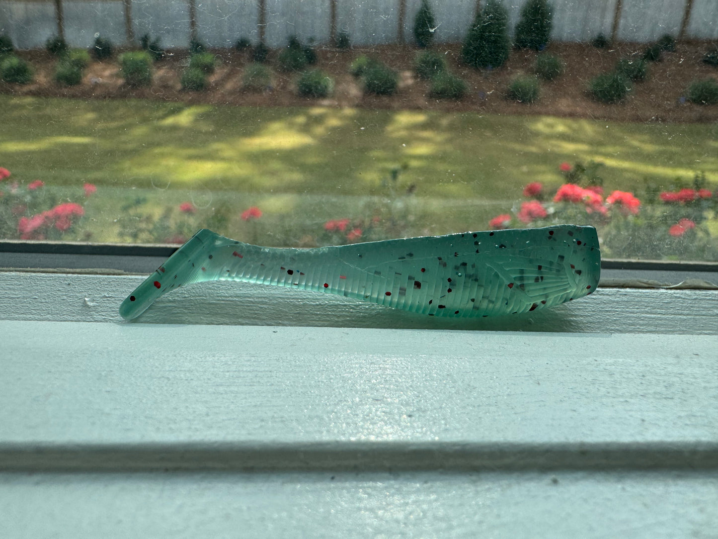 3" Swim Bait