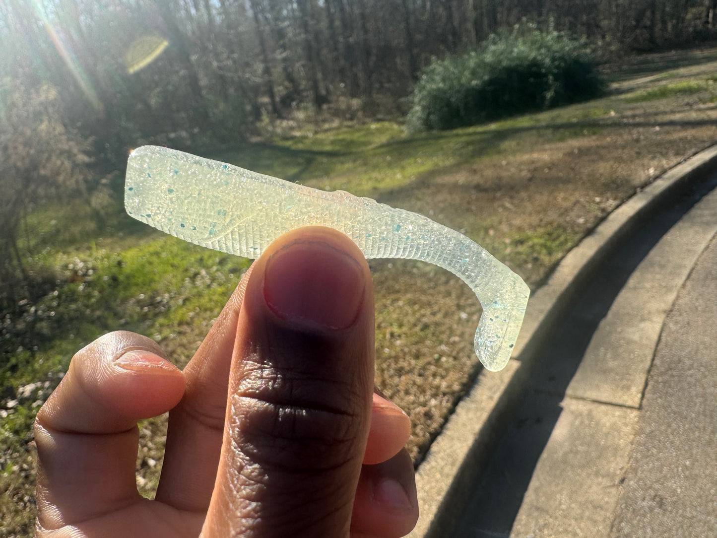 3" Swim Bait