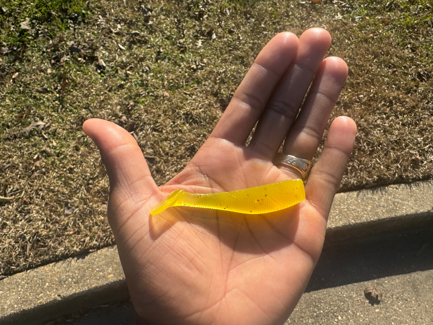 3" Swim Bait