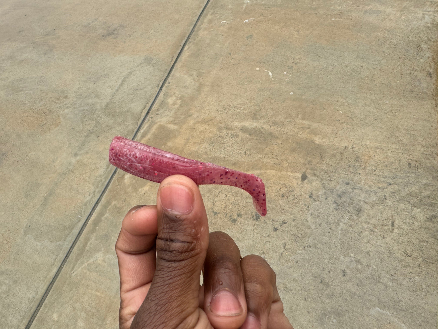 3" Swim Bait