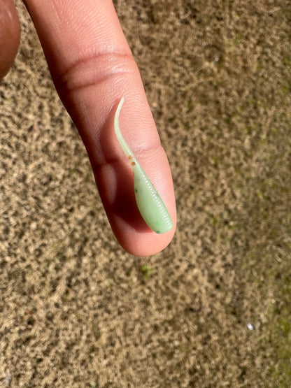 1.2" Micro Crappie lures