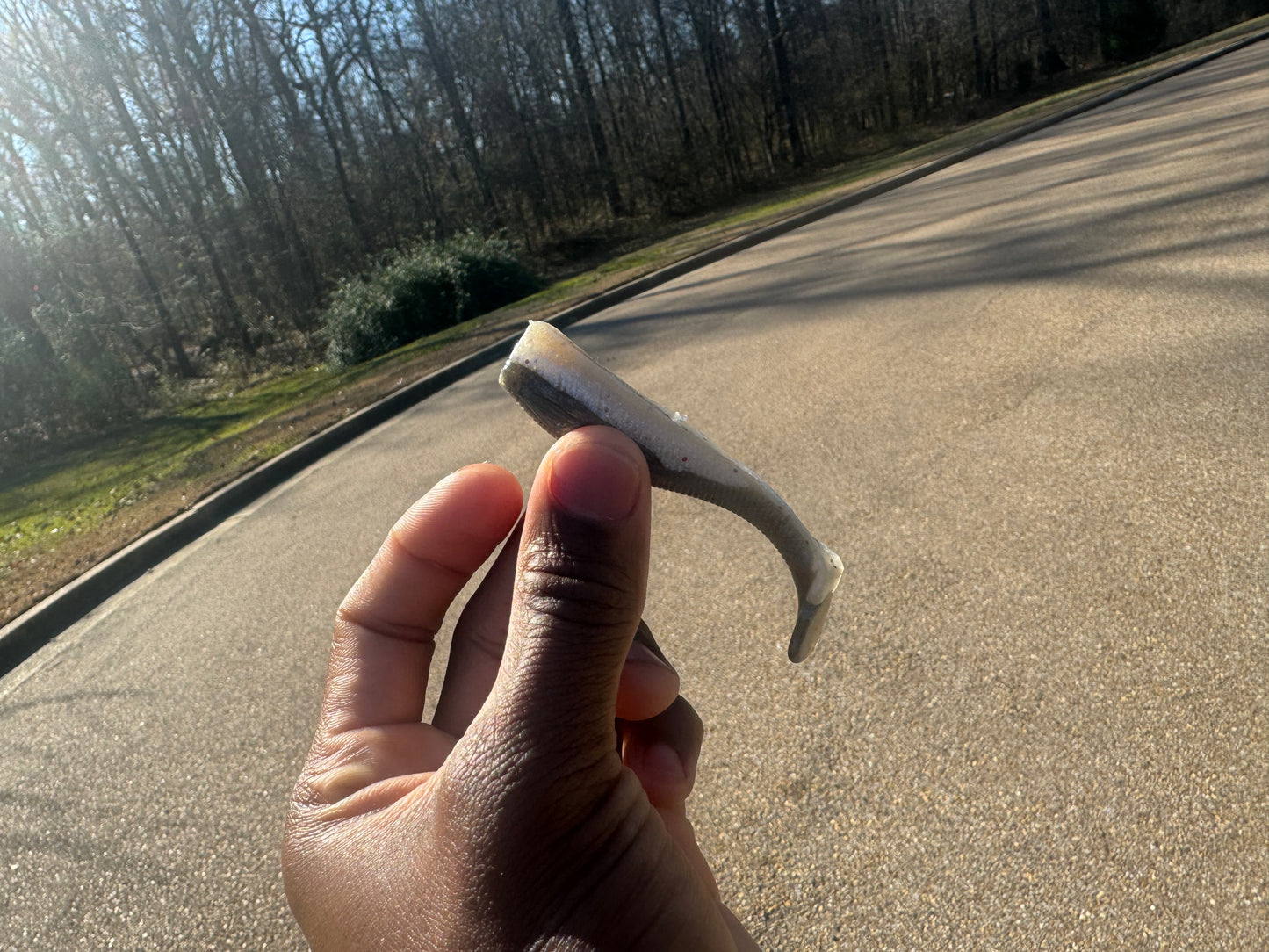 Customize YOUR OWN 3" Swim Bait Mold