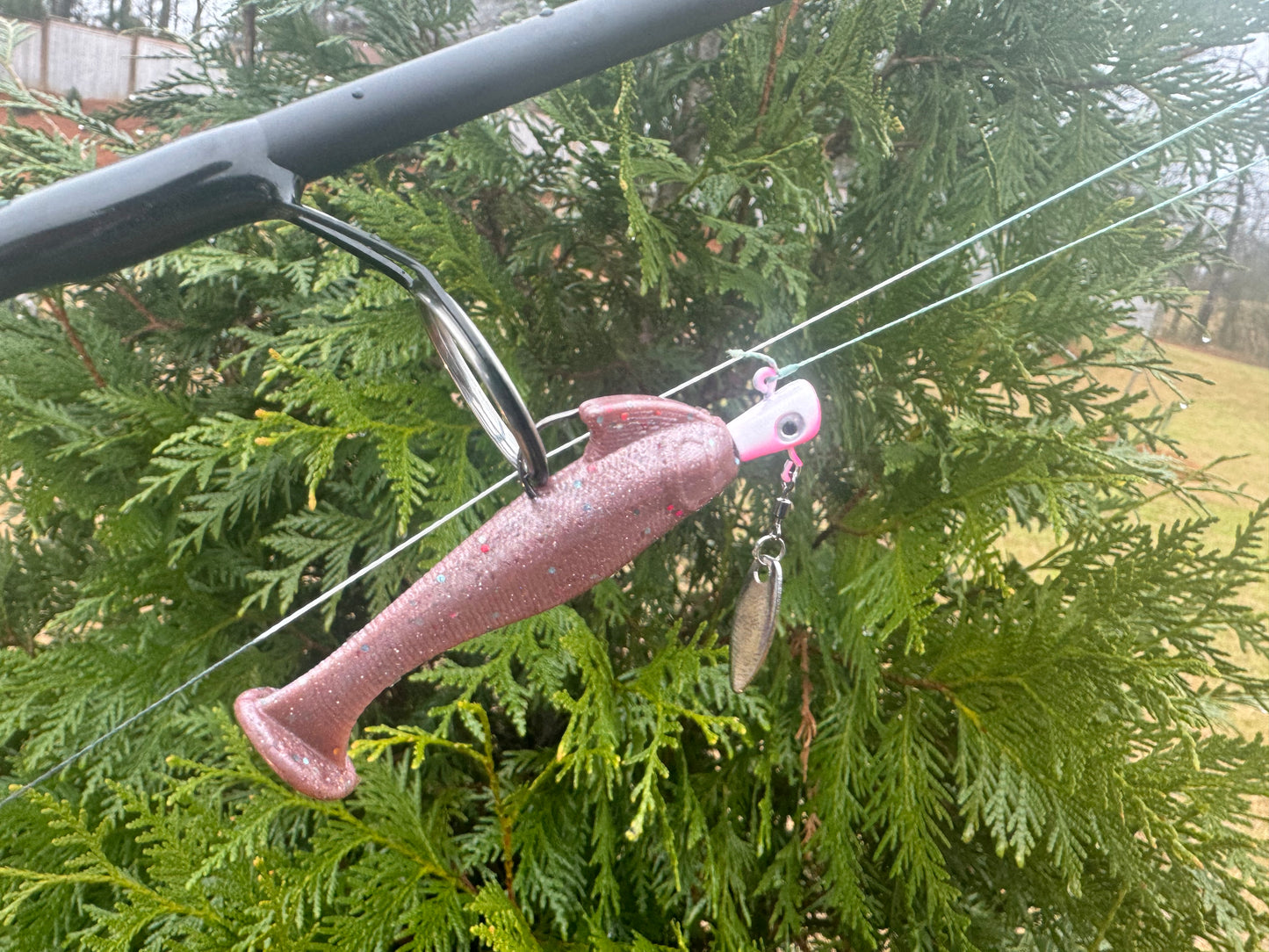 ALL BAITS WITH LIMITED EDITION COLORS