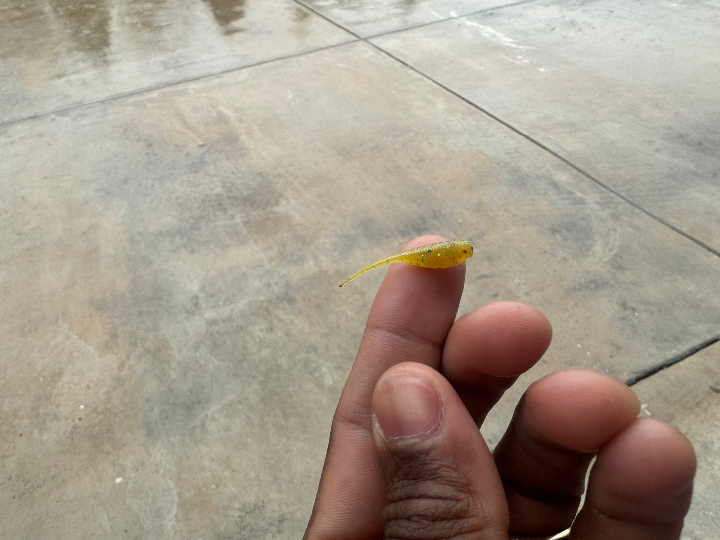 ALL BAITS WITH LIMITED EDITION COLORS